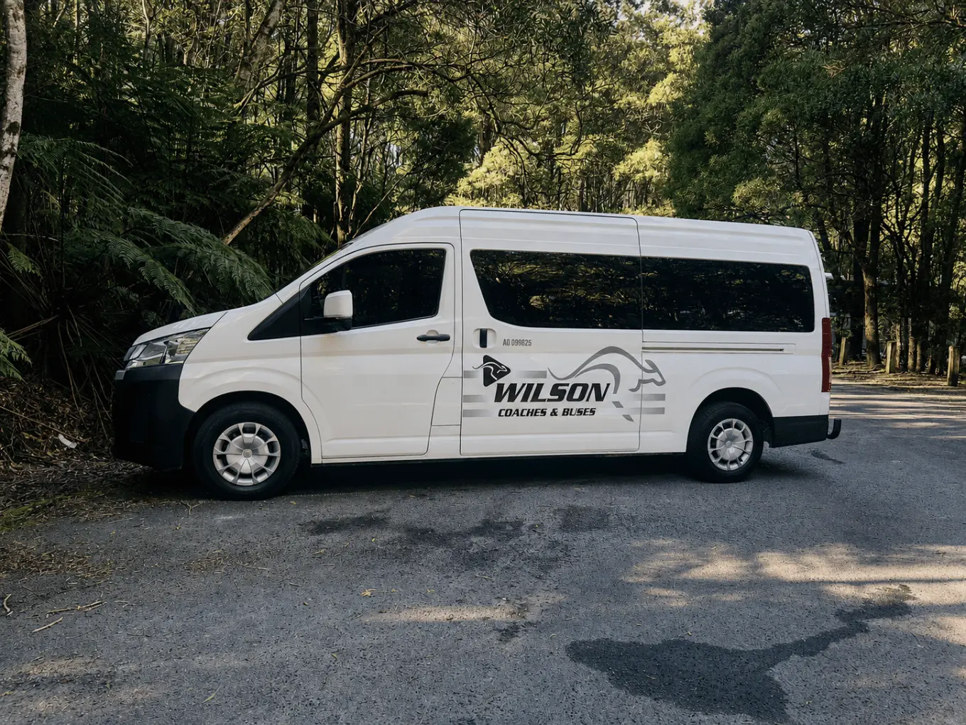 Mini Skyliner private airport transfer vehicle