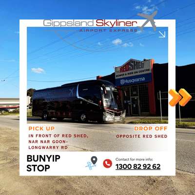 Bunyip